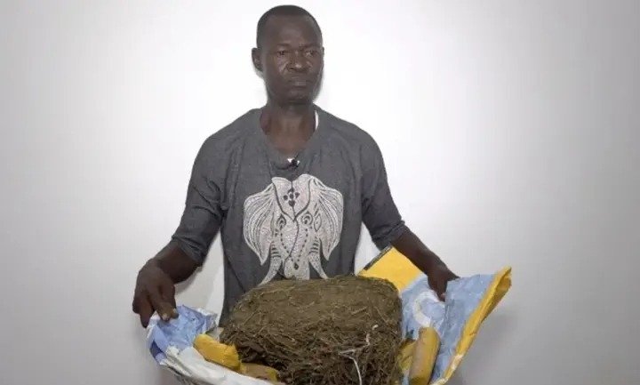 Port-Gentil : Un réseau de drogue dure démantelé, un ressortissant camerounais au cœur du trafic