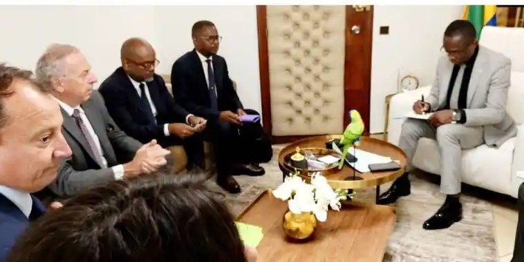 Hydrocarbures : Vaalco Energy relance la production au Gabon avec un investissement de 200 millions de dollars