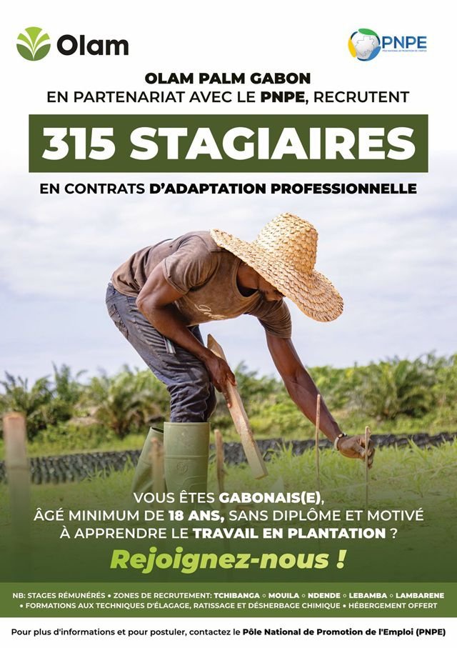 Olam Palm Gabon : 250 jeunes formés, 320 millions de FCFA injectés pour relancer l’auto‑emploi