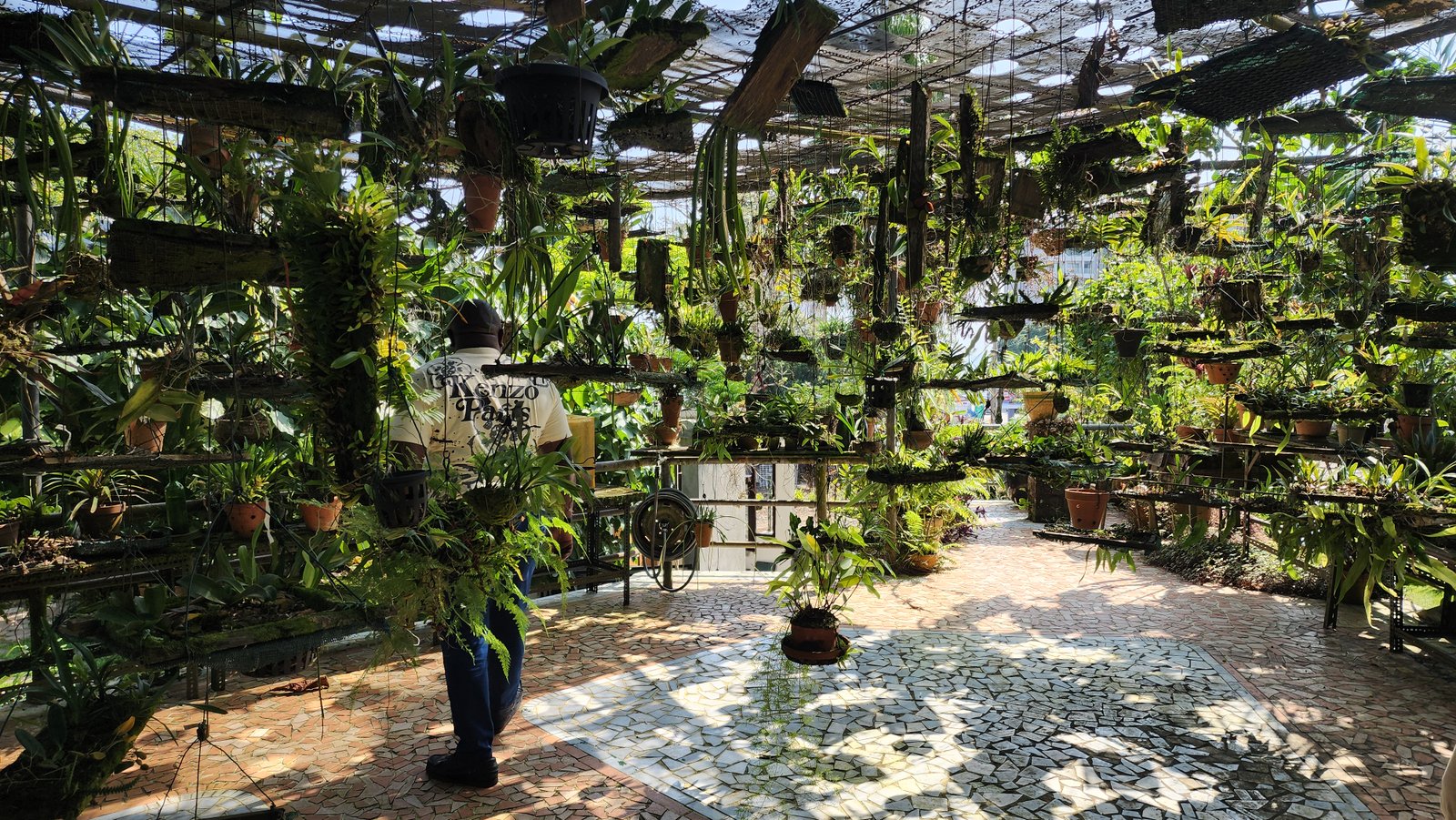 Libreville s’apprête à accueillir son tout premier jardin botanique au cœur de l’Arboretum Raponda Walker