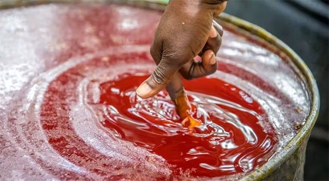 Agro-industries au Gabon : un premier trimestre 2025 marqué par des contrastes