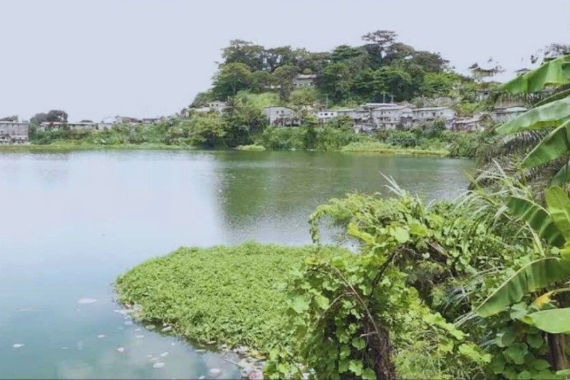 Nzeng-Ayong : un sujet camerounais empoisonne délibérément trois de ses cinq enfants et leur mère