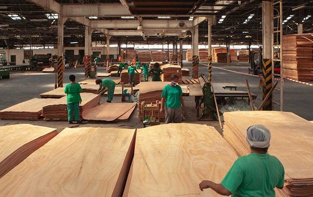 Gabon : le sciage de bois bondit de 28,5% au premier trimestre 2025
