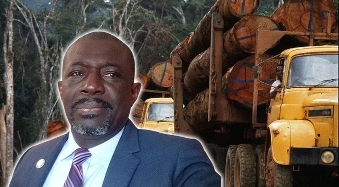 Gabon : Que se passe-t-il à la concession du Grand Mayumba ? Le président de la ROSCEVAC interpelle les plus autorités de la république.