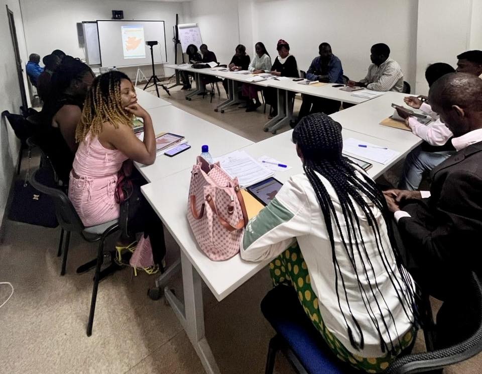 Recensement Général de la Population et des Logements: phase pilote lancée avec succès