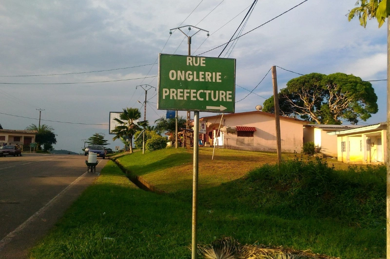  Anges Kevin NZIGOU présent la vision de la plateforme