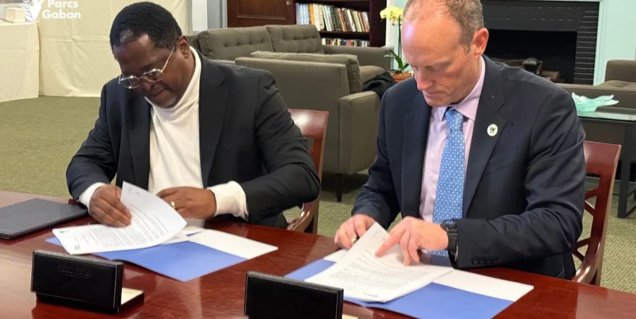 Protection de la biodiversité : le Gabon reçoit de l’UE 2 milliards de subventions .