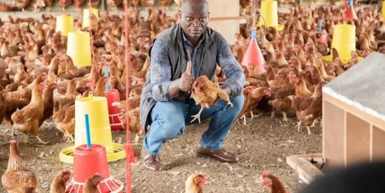 Gabon : 40 000 professionnels formés pour mettre fin aux importations de poulets de chair d’ici 2027
