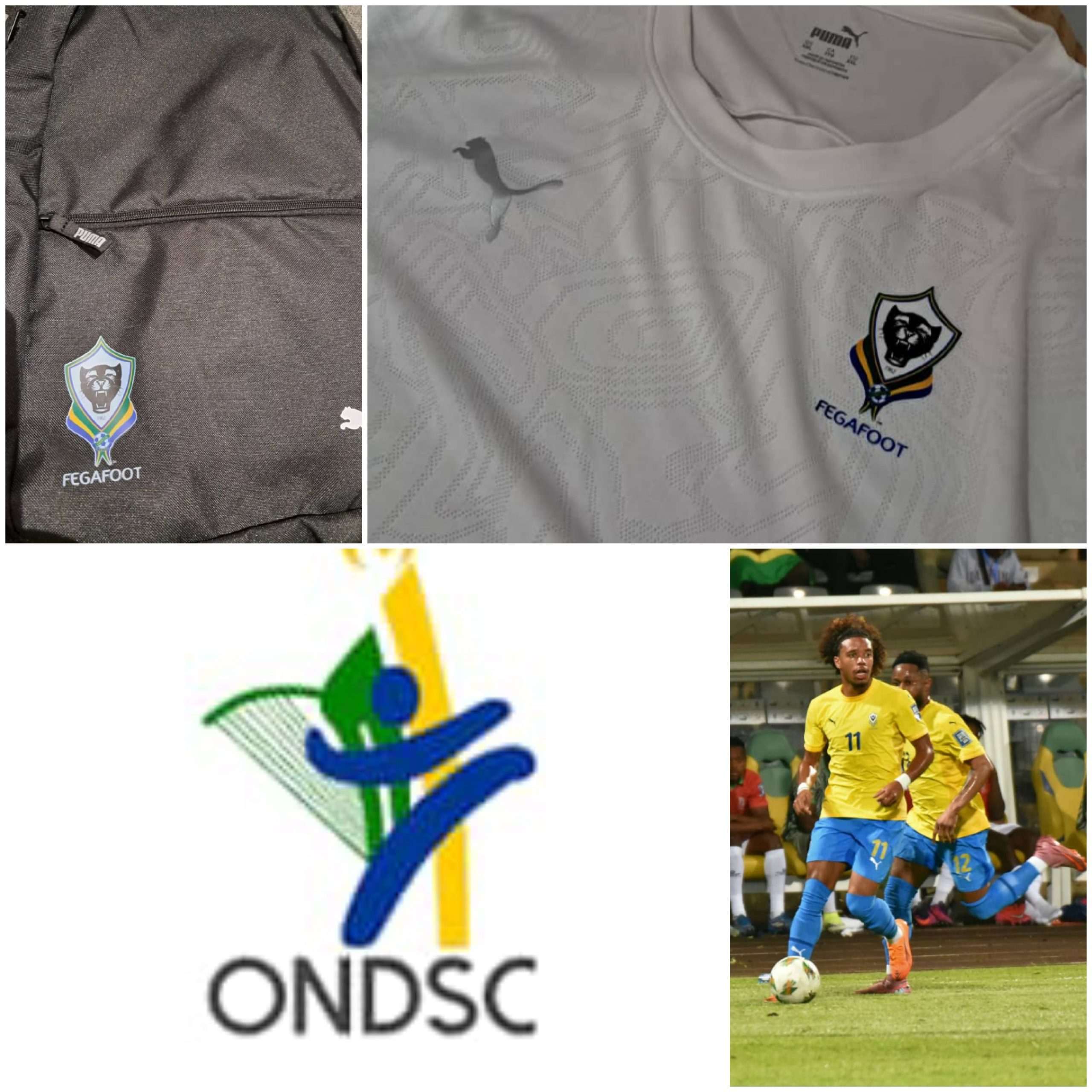 Polémique autour des équipements des Panthères : l’ONDSC rétablit la vérité