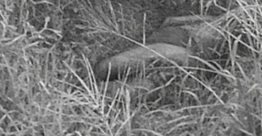 Découverte macabre à la Cité Amissa : une femme retrouvée morte en pleine fête de Noël