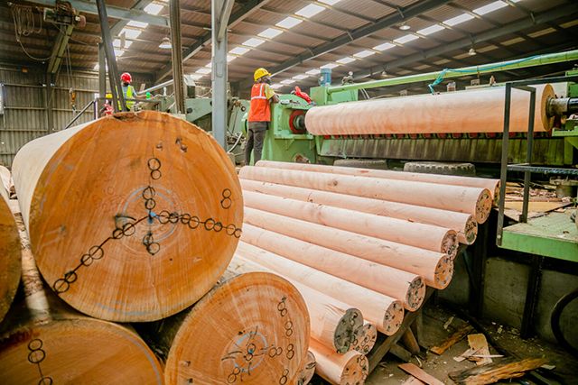 Gabon : la baisse de la demande chinoise plombe l’industrie du bois au 2ème trimestre 2025