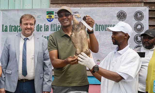  Anges Kevin NZIGOU présent la vision de la plateforme