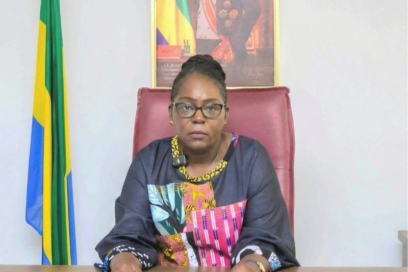  Anges Kevin NZIGOU présent la vision de la plateforme