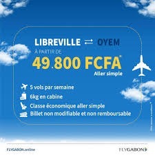  Anges Kevin NZIGOU présent la vision de la plateforme