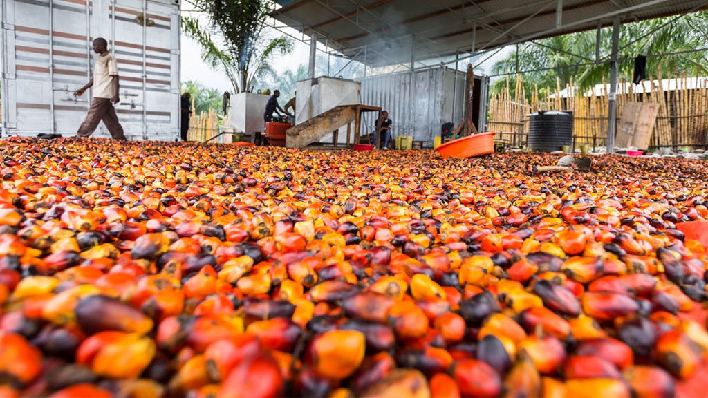 Flambée mondiale de l’huile de palme : la filière gabonaise peut tirer profit du choc pétrolier