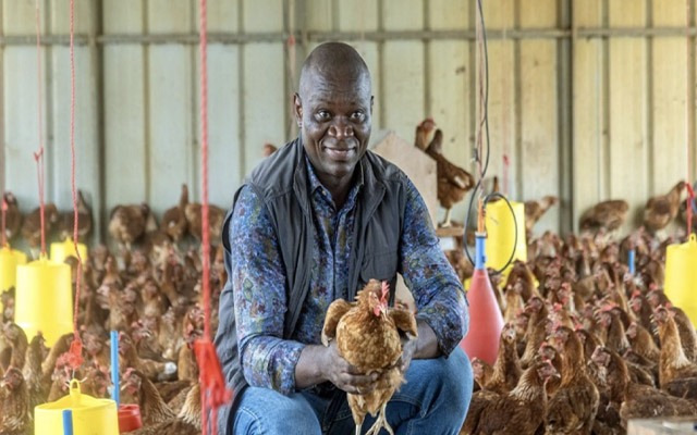 Filière avicole : le Plan opérationnel d'urgence vise 100 000 tonnes d’ici 2027