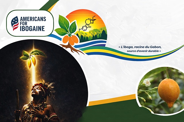 Iboga : le Gabon face à l’urgence de sa souveraineté culturelle et thérapeutique