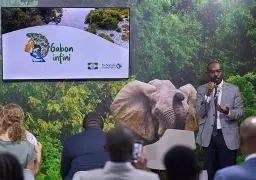 Gabon Infini : un programme à 200 millions de dollars sur 10 ans pour accélérer l’économie verte