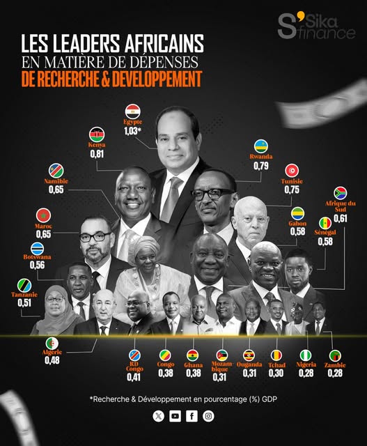 Recherche & développement en Afrique : le Gabon affiche un effort estimé à 0,58 % du PIB