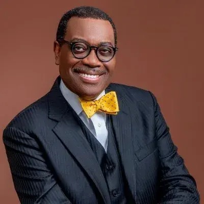 Botswana : après la BAD, Akinwumi Adesina rebondit au  Diamonds for Development Fund