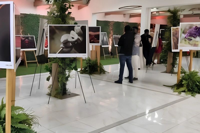 Concours national de photographie:  Amazing Gabon lance la cinquième édition