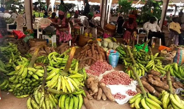 Le Formol : ce poison invisible qui menace les marchés gabonais ?