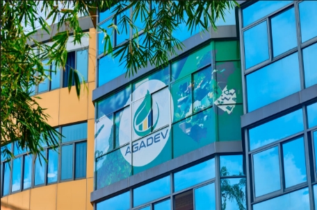 Biocapacité : le Gabon confirme son leadership mondial et renforce son atout vert