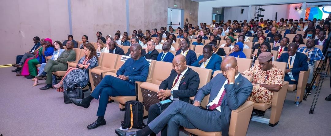 Organisation : le Réseau africain des économistes en Chef voit le jour