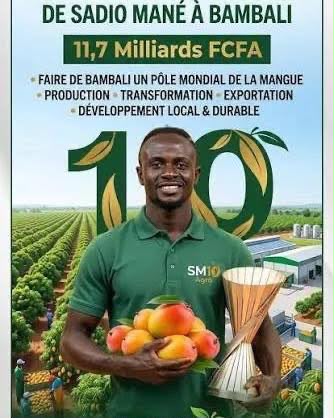 Sénégal : Sadio Mané investit 11,7 milliards FCFA pour le futur parc agro-industriel de Bambali