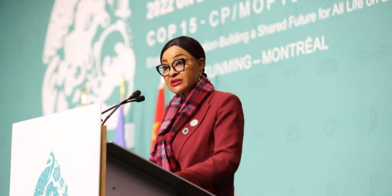 FAO : le Gabon soutient la candidature africaine de Josefa Sacko à la tête de l’organisation