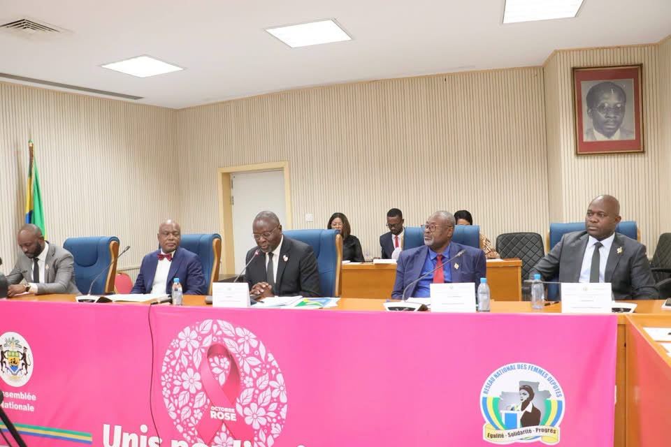 Politique Assemblée nationale : l'Honorable Beni NGOUA MBINA relance le débat sur l'homosexualité
